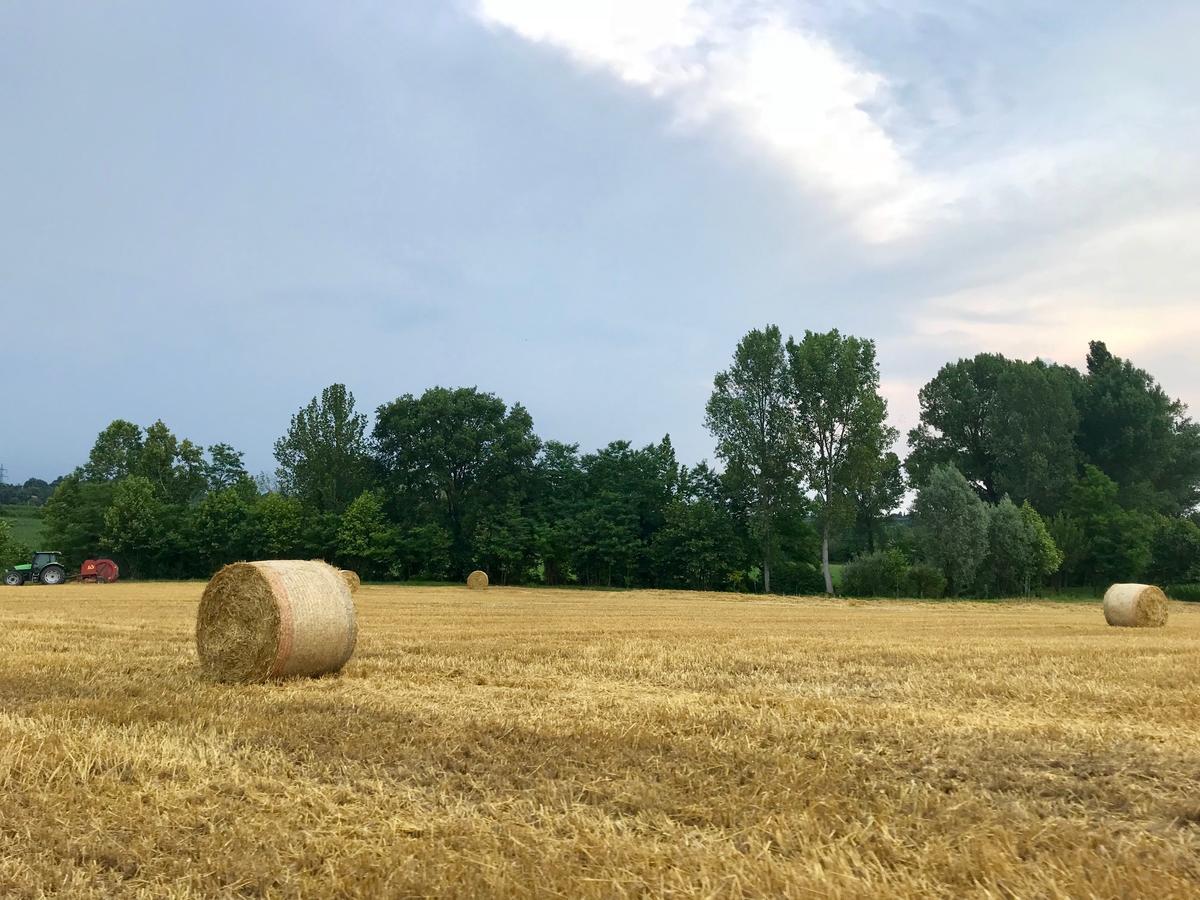 Agriturismo Corte Salandini Otel Ponti sul Mincio Dış mekan fotoğraf